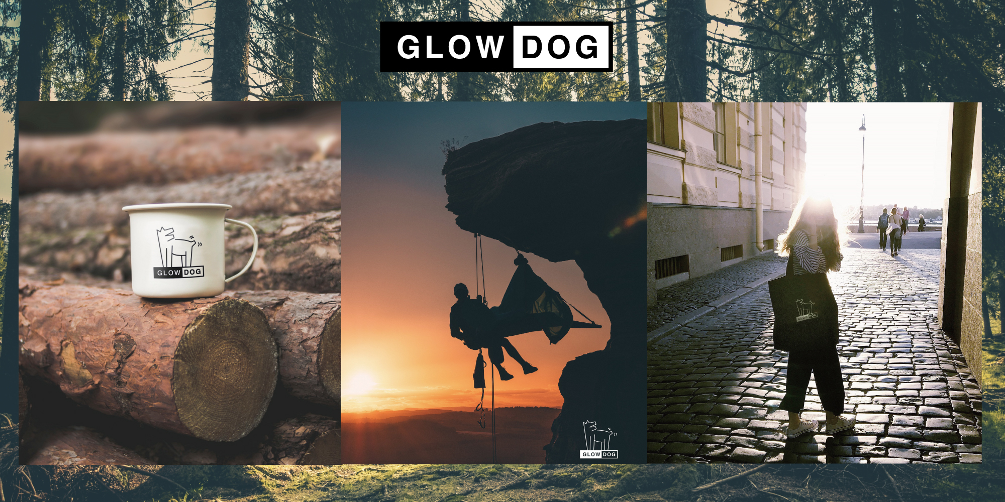 GLOW DOG ブランドヒストリー